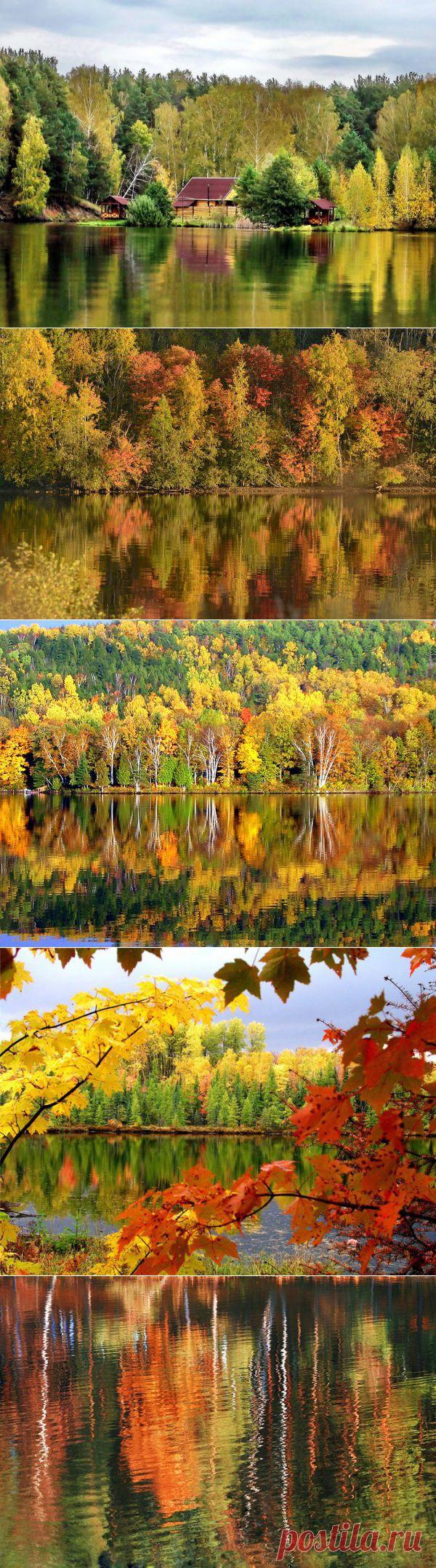 Зеркальное отражение осени в воде! Буйство осенних красок над зеркалом озер! - Блог Три и ночка