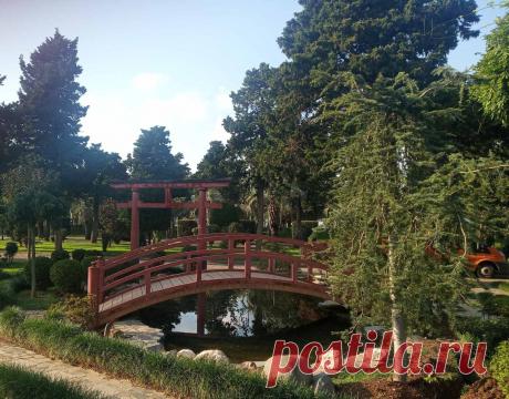 (5) Рисуем все вместе 🖼🎨