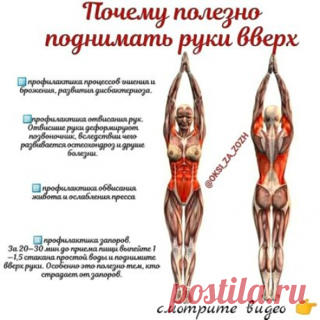 ПОЧЕМУ ПОЛЕЗНО ПОДНИМАТЬ РУКИ ВВЕРХ