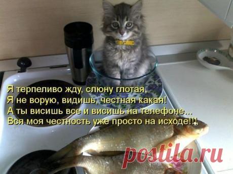 (3) Одноклассники