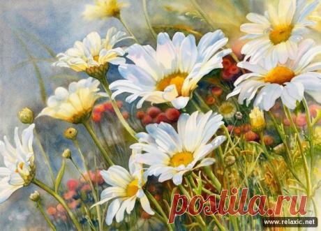 Красота в квадрате — акварельные сады Марни Вард