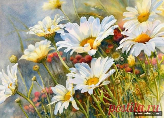 Красота в квадрате — акварельные сады Марни Вард