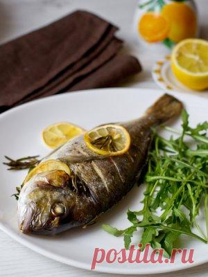 Дорада, запеченная с травами и лимоном: как приготовить - проверенный пошаговый рецепт с фото на Вкусном Блоге