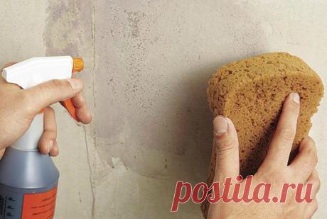 14 крутых способов использования поролоновых губок не по назначению, но с пользой для дома