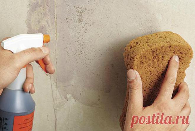 14 крутых способов использования поролоновых губок не по назначению, но с пользой для дома