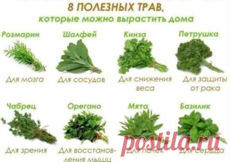 То, что сделает с твоей печенью 1 стакан этого напитка, можно назвать настоящим чудом!