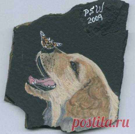 rockpaintingiii: View Photo: Dog and the butterfly