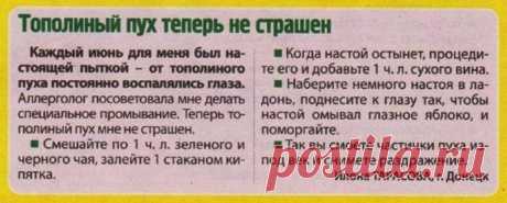 Тополиный пух теперь не страшен