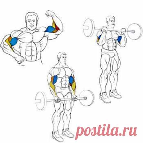 НАКАЧАТЬ БИЦЕПСЫ / Спорт Сильных!