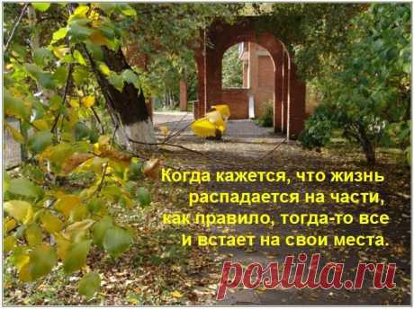 (101) Кабинет Елены Скибо (психотерапевт Елена Петровна Скибо)