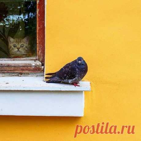 Home / Twitter
