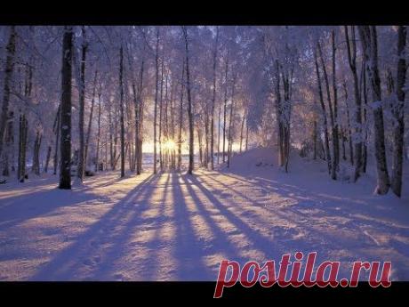Приход зимы так скор и неизбежен...   Раймонд Паулс. Элегия (Бабочки на снегу.)