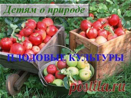 Растения которые растут в саду. Рассказы о ягодах и фруктах для детей - YouTube