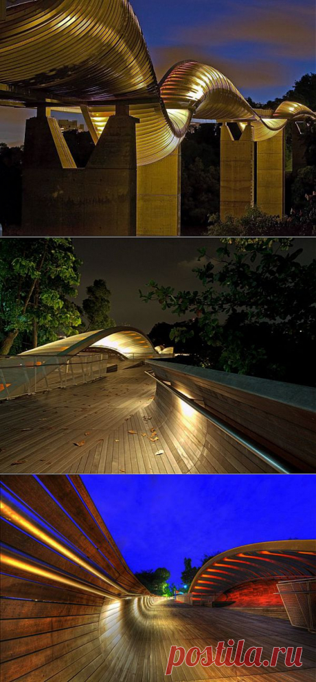 Красивейший мост &quot;Волны Хендерсона&quot; (Henderson Waves Bridge), Сингапур - Туристический портал - Мир красив!