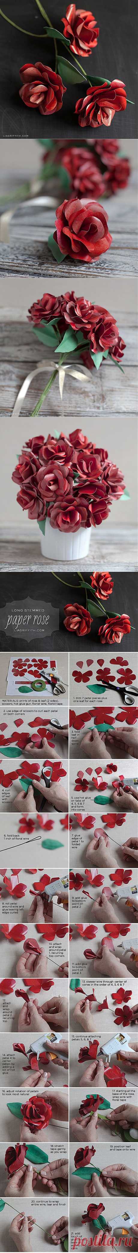 Make a Red Long Stemmed Paper Rose for Valentine's Day
