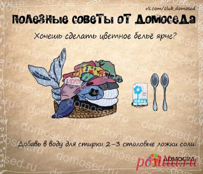Очень полезные советы — Всегда в форме!