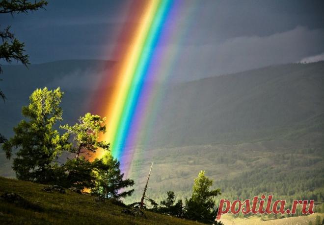 Дикая природа — это самое неизведанное, что есть на земле