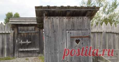 Из экономистов в ассенизаторы Я уже 11 лет работаю ассенизатором. Если бы кто-нибудь до того самого кризиса 2008 года сказал бы, что я буду работать в этой сфере, то, клянусь, не