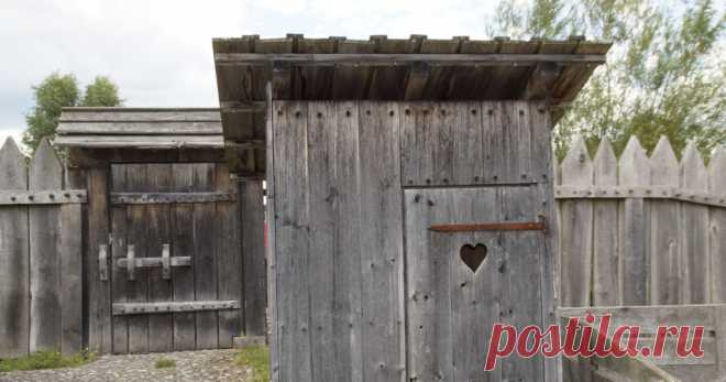 Из экономистов в ассенизаторы Я уже 11 лет работаю ассенизатором. Если бы кто-нибудь до того самого кризиса 2008 года сказал бы, что я буду работать в этой сфере, то, клянусь, не