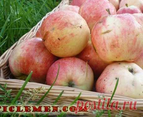 Питание при инсульте. Меню при инсульте