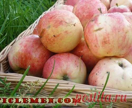 Питание при инсульте. Меню при инсульте