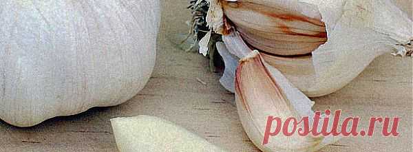 Шелуха чеснока продлевает молодость кожи ! | pokolenie-x.com