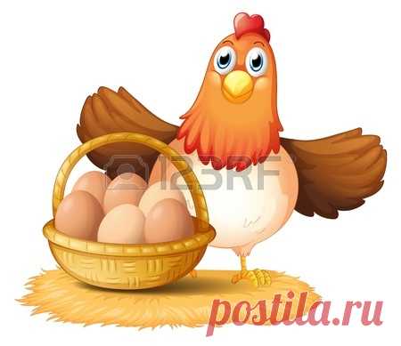 18005054-Иллюстрация-курицы-и-яйца-корзины-на-б..