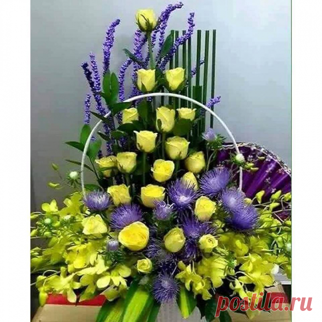13494795_766660203473680_7750070372871085810_n.jpg (Изображение JPEG, 960 × 960 пикселов) - Масштабированное (60%)