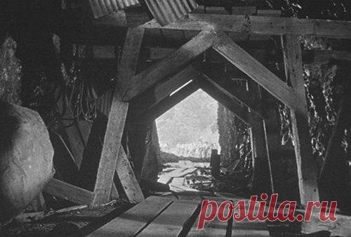 Сведения о цивилизации великанов «похоронили» в архивах