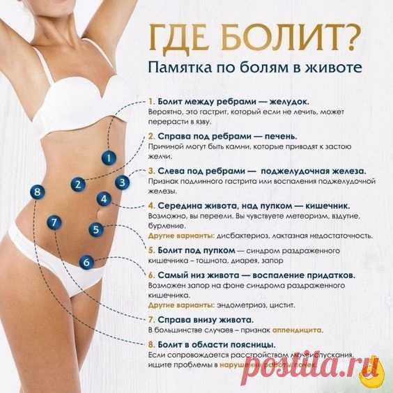 gA6_xjwCLqQ.jpg (564×564)
