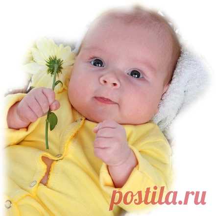 "Дети! Цветы! Жизнь!" – Google+