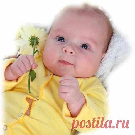 &quot;Дети! Цветы! Жизнь!&quot; – Google+