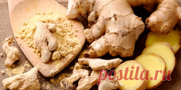 как растет имбирь в домашних условиях