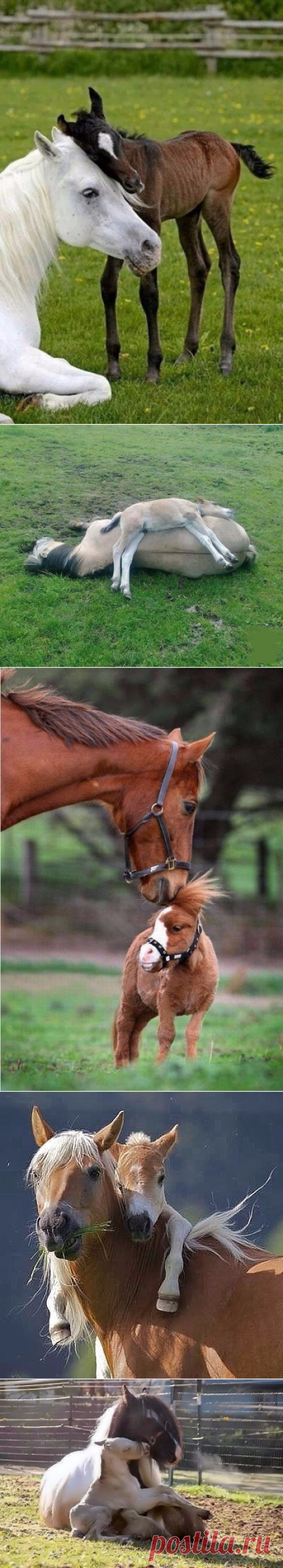 Мама есть мама!