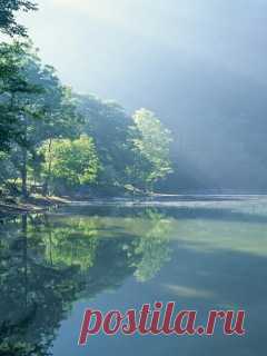 Скачать 240x320 Берег, деревья, туман, пробуждение, лучи обои, картинки Mobile Phone 240x320