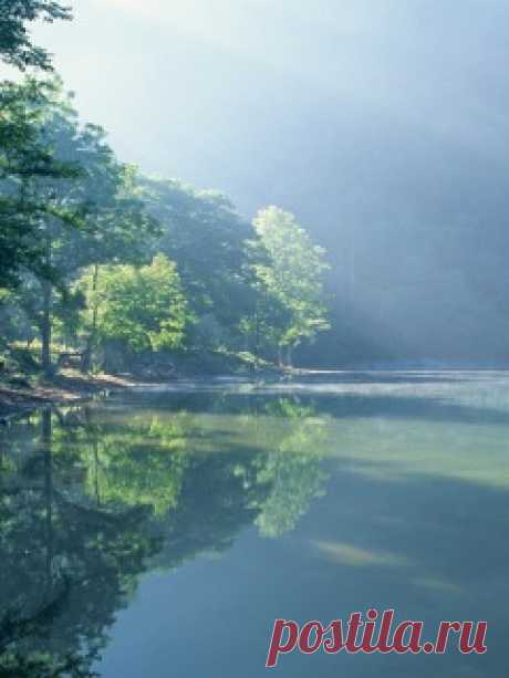 Скачать 240x320 Берег, деревья, туман, пробуждение, лучи обои, картинки Mobile Phone 240x320