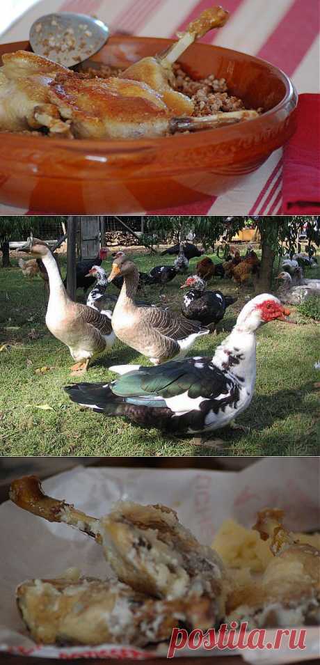гусиные ножки конфи