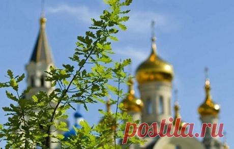 Обряды на Троицу