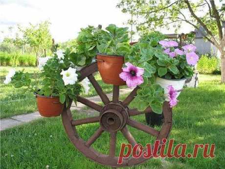 (50) Одноклассники