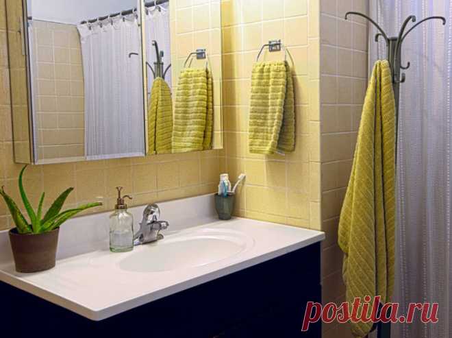 7 растений в ванной комнате - оптимальные варианты | INVANNA | Яндекс Дзен