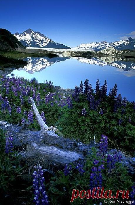 Найдено на сайте wildnatureimages.com.