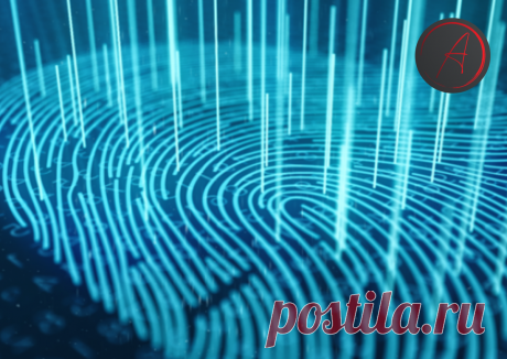 Насколько важно управлять своим цифровым следом | Инвестиции без ума | Яндекс Дзен