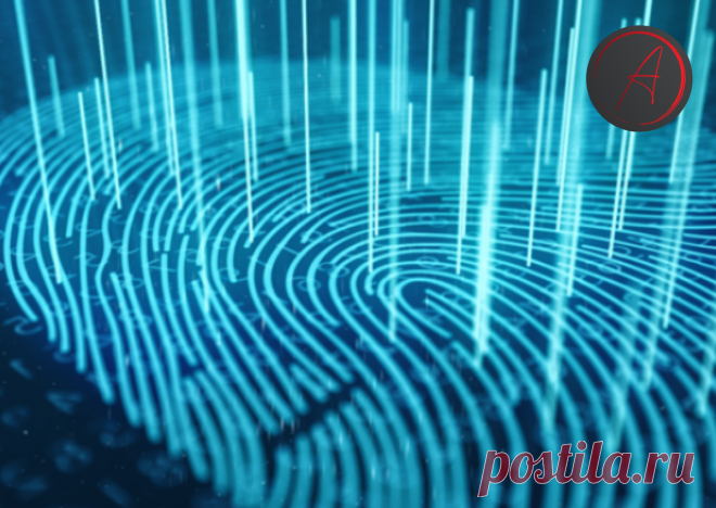 Насколько важно управлять своим цифровым следом | Инвестиции без ума | Яндекс Дзен