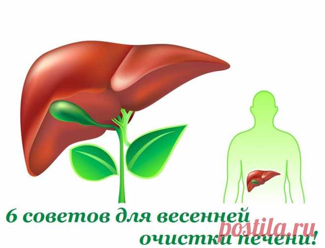 6 советов для весенней очистки печени!