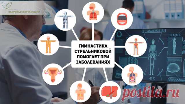 Дыхательная гимнастика Стрельниковой для здоровья легких, сердца и не только :: Polismed.com Гимнастика Стрельниковой включает ряд последовательных упражнений, изначально направленных на восстановление дыхательных функций