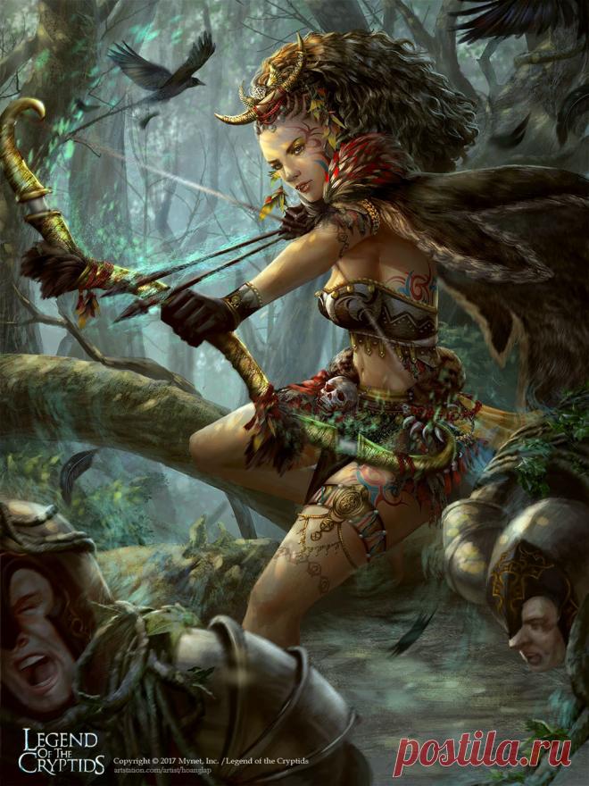 Хоанг Луп (Солан) - Mareida Adv