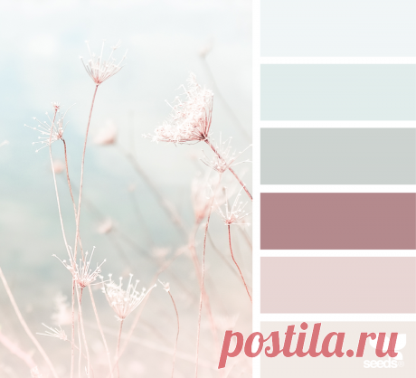 design seeds | color nature | for all who ♥ color