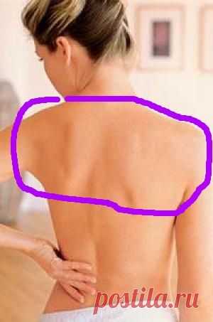 Красивая спина. Как сделать гладкую кожу спины. — Всегда в форме!