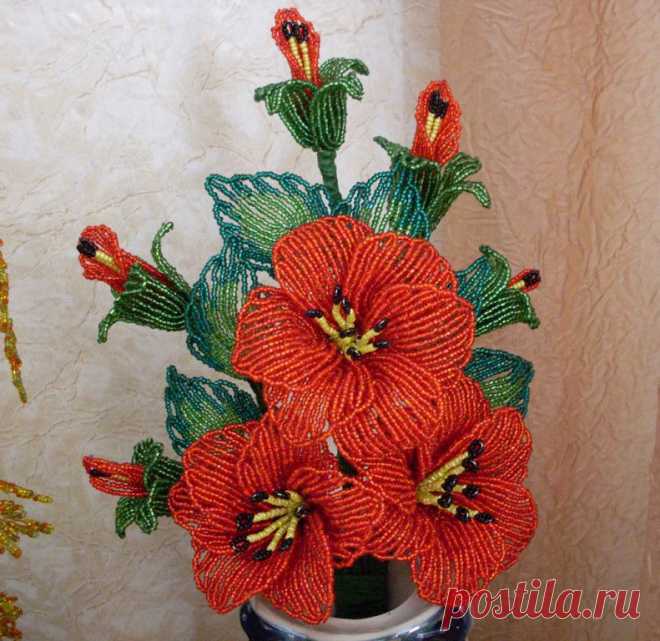 Одноклассники