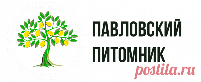 Каталог - Pavlovolimon